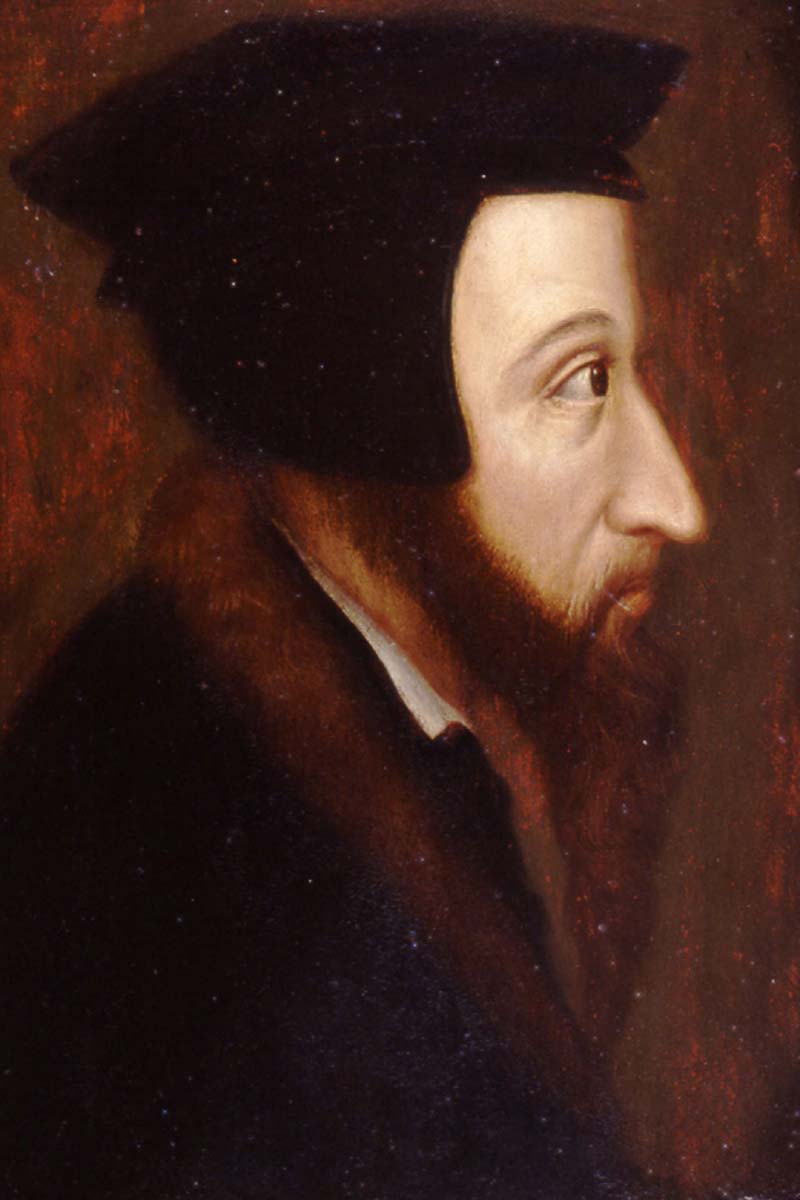 Reformation reiss engelhorn museen johannes calvin