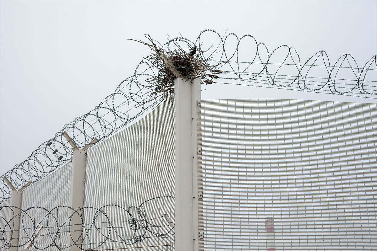 Biennale für aktuelle Fotografie 2022 Michal Iwanowski Go home Polish