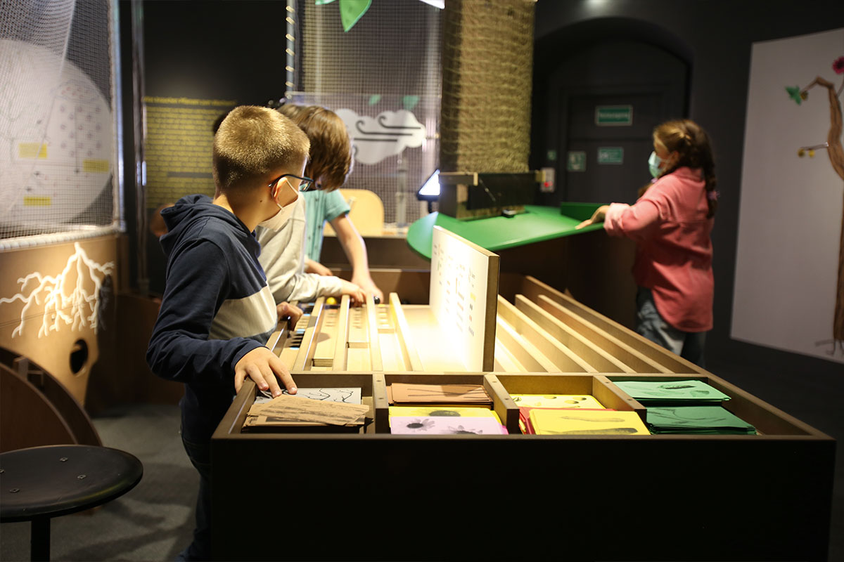 historisches museum pfalz speyer expedition erde ausstellung