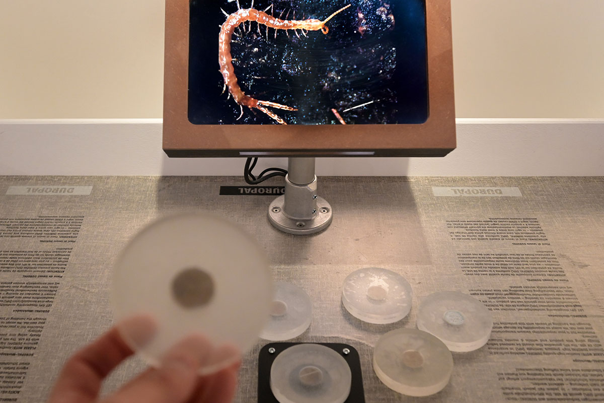 historisches museum pfalz speyer expedition erde ausstellung