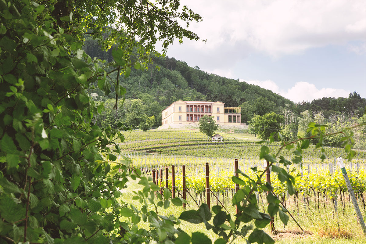 generaldirektion kulturelles erbe rheinland-pfalz schloss villa ludwigshöhe edenkoben