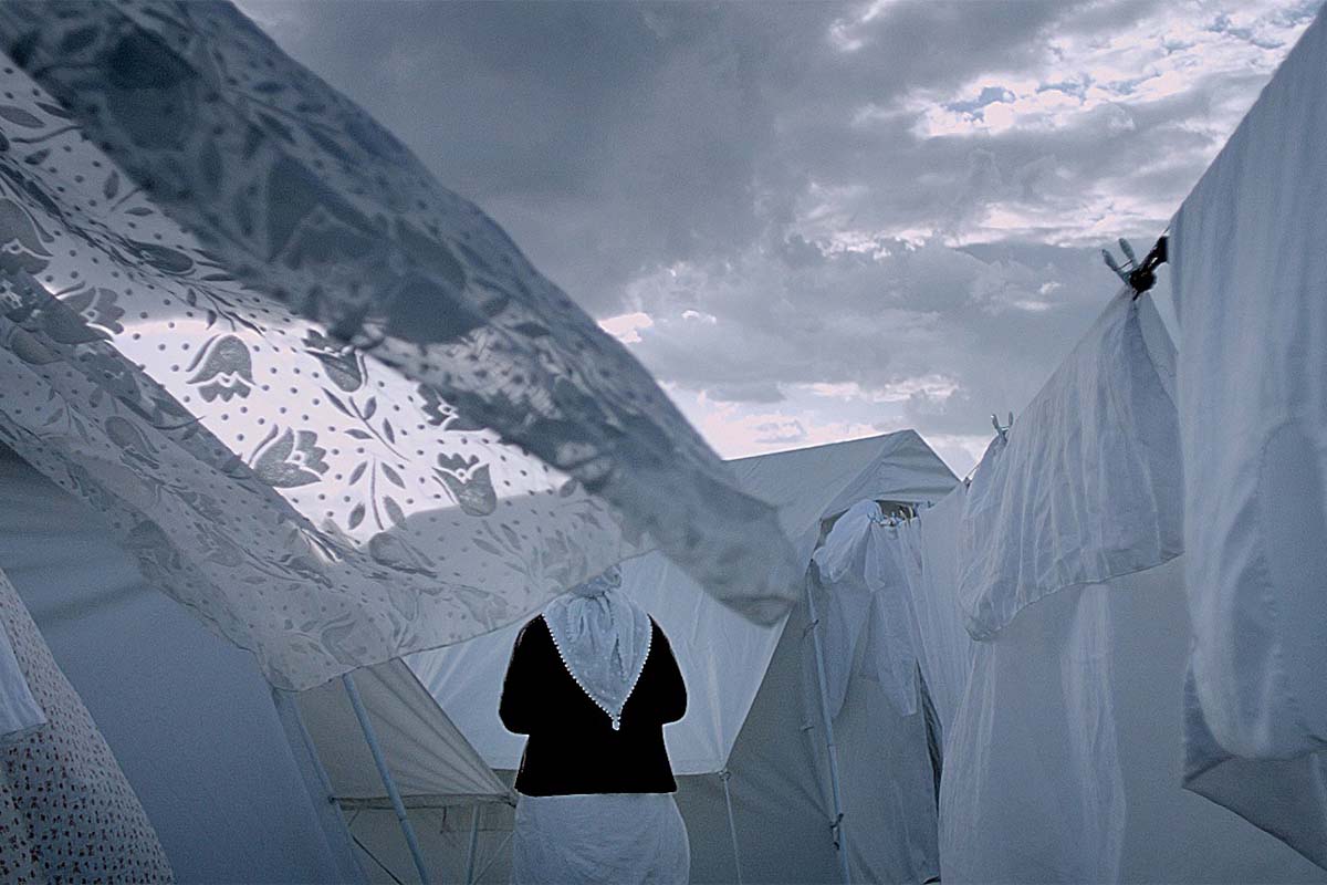 internationales filmfestival mannheim heidelberg reseba