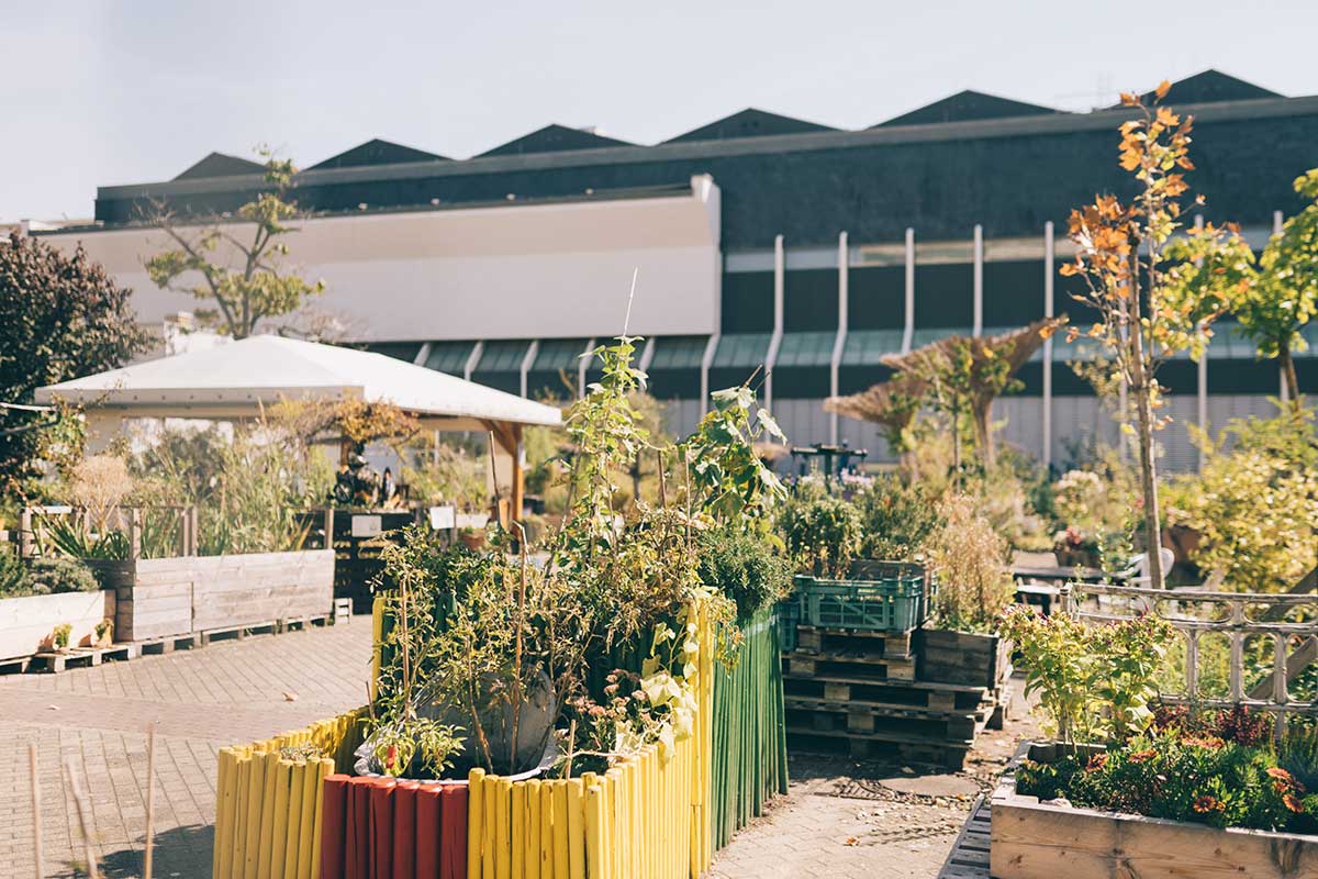 wilhelm hack museum ludwigshafen hackgarten