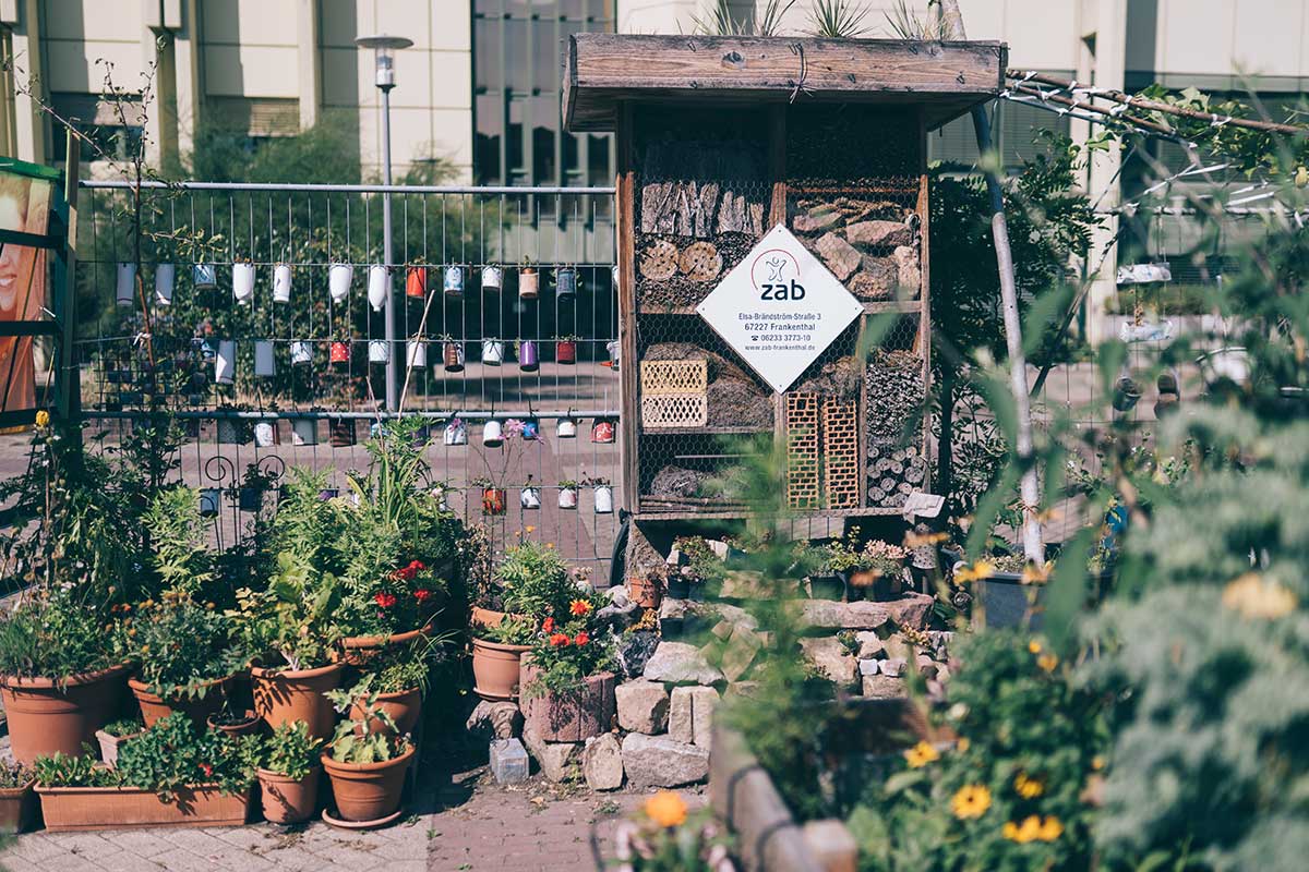 wilhelm hack museum ludwigshafen hackgarten