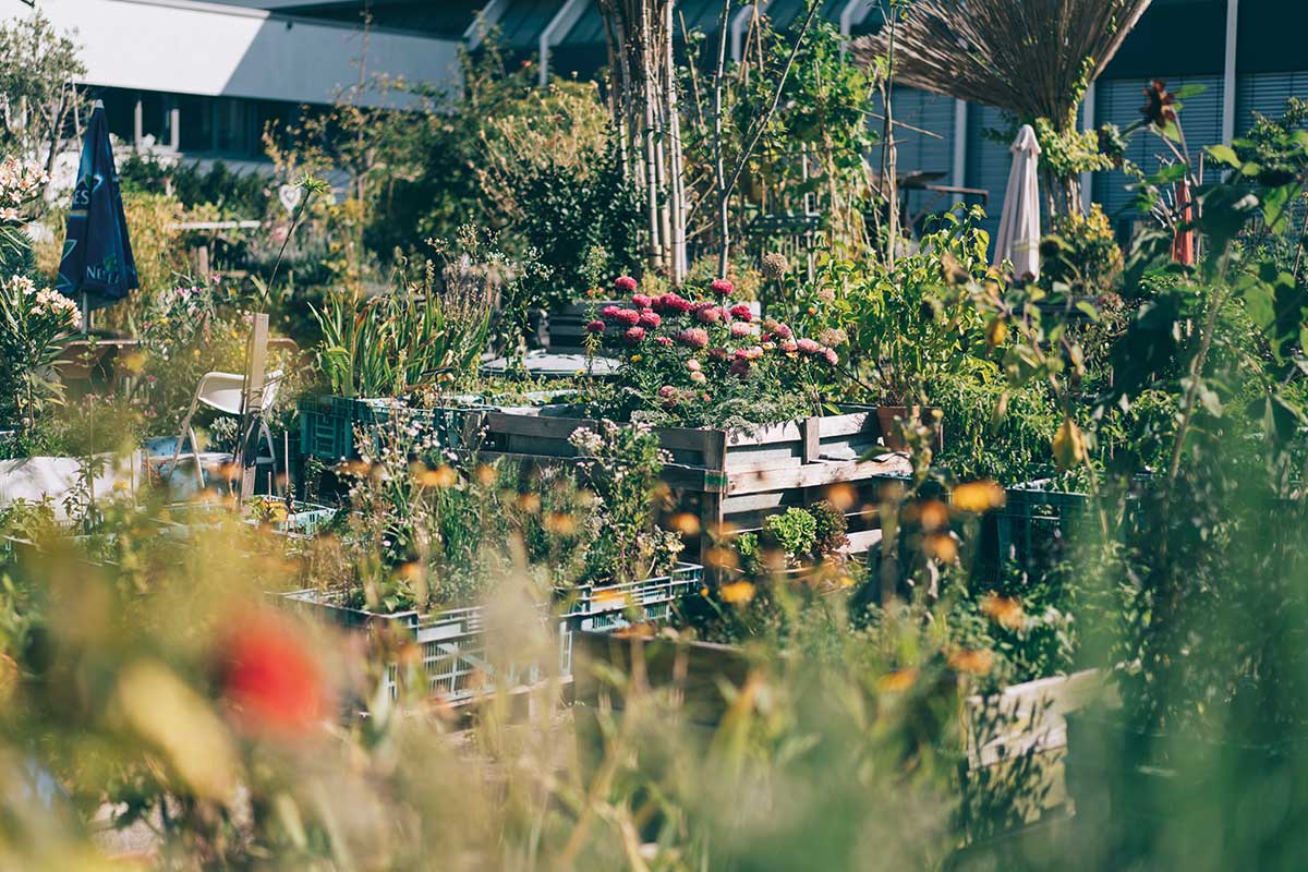 wilhelm hack museum ludwigshafen hackgarten